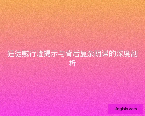 狂徒贼行迹揭示与背后复杂阴谋的深度剖析
