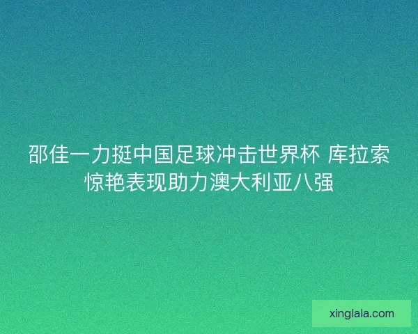 邵佳一力挺中国足球冲击世界杯 库拉索惊艳表现助力澳大利亚八强
