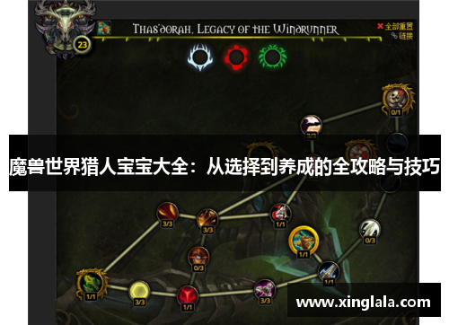 魔兽世界猎人宝宝大全：从选择到养成的全攻略与技巧