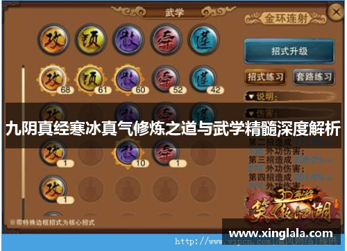 九阴真经寒冰真气修炼之道与武学精髓深度解析